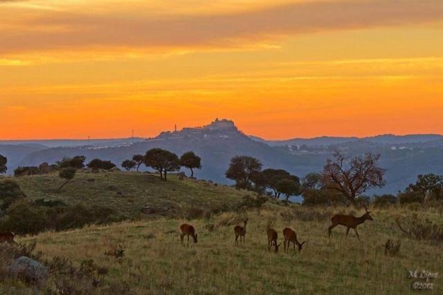 Alojamiento Rural Dehesa La Estancia Andújar Buitenkant foto